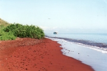 Imagen Isla Rábida3